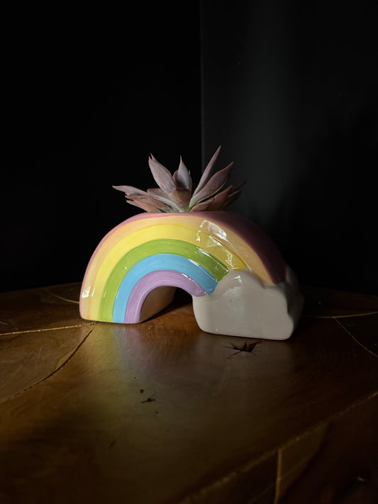 Colorful rainbow-shaped ceramic planter on a dark surface