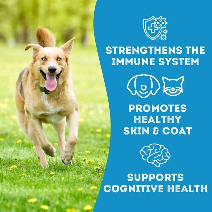 Cod Skin Dehydrated Pet Treats – High-Protein, Low-Calorie Crunch for Healthy Pets