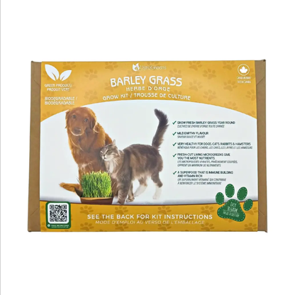 a cardboard like package labeled barley grass micro greens with a dog a cat on the front with the package resting on a white background