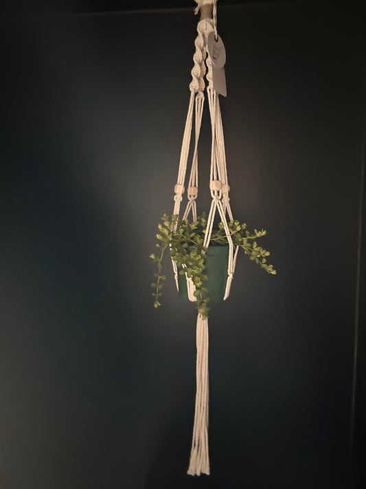 decorative macramé hanging planter with plant inside against black background