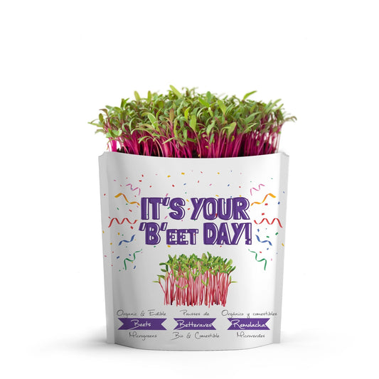 A white stand-up pouch with colorful confetti and purple text reading 'IT'S YOUR 'BEET DAY!' with illustrations of red and green beet sprouts, with red stemmed beet micro greens growing from the top of the package. shown on a clean white background.