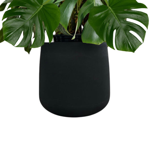 matte black pot with green foliage inside on a white background