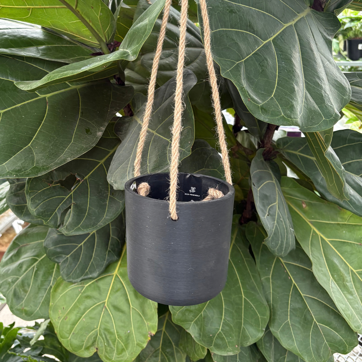 a black four inch hanging kano pot hung by twine like rope with green tropical plants in the background