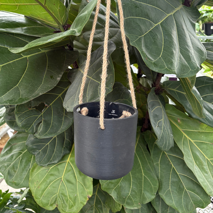 a black four inch hanging kano pot hung by twine like rope with green tropical plants in the background
