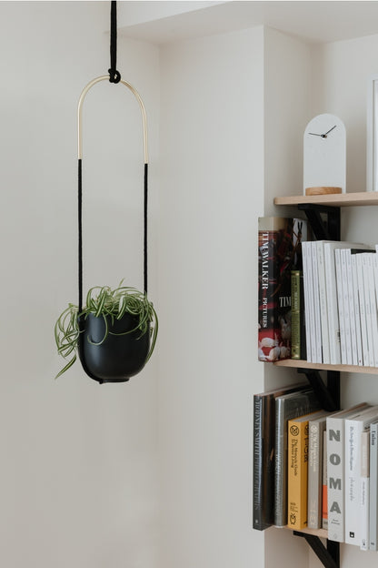 umbra bolo hanging planter white Bolo Hanging Planter – Modern Wall-Mounted Planter for Indoor Plants – Urbane Eight Inc