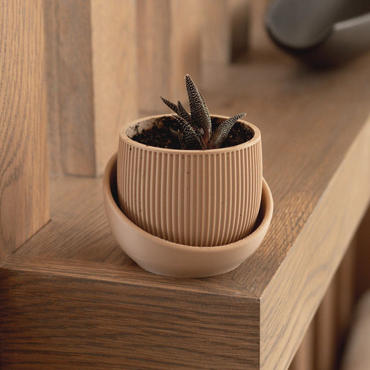 tan boreal pot with texture and drip tray resting on wooden surface