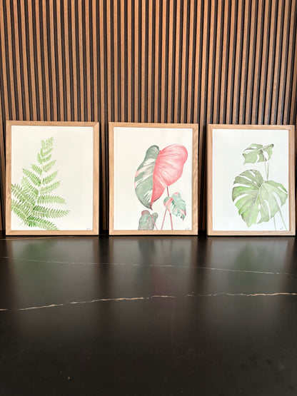 Three framed botanical prints on a wall with wooden horizontal slats on black surface