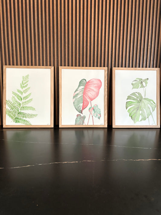 Three framed botanical prints on a wall with wooden horizontal slats on black surface