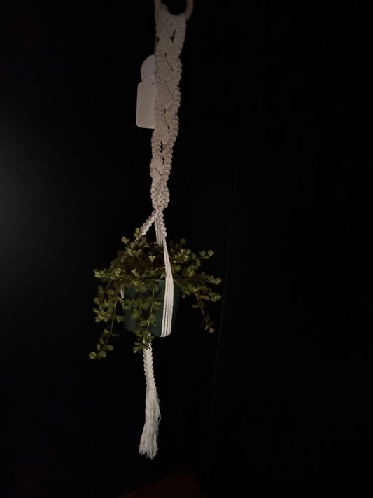 Braided Macrame plant hanger with greenery on a black background