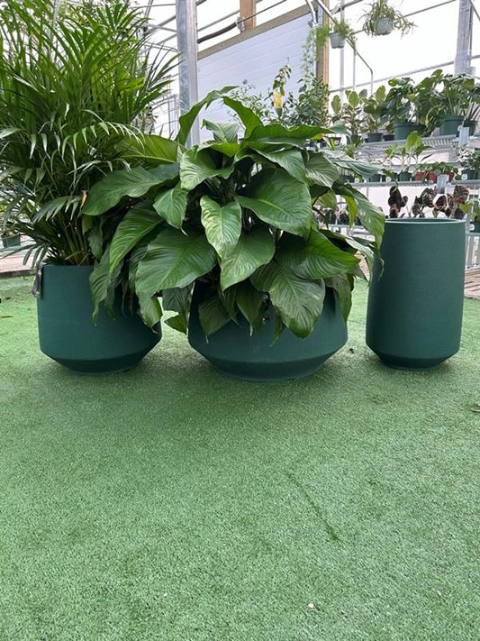 Three moss green round planters with plants, displayed on a grass-like surface inside a building.