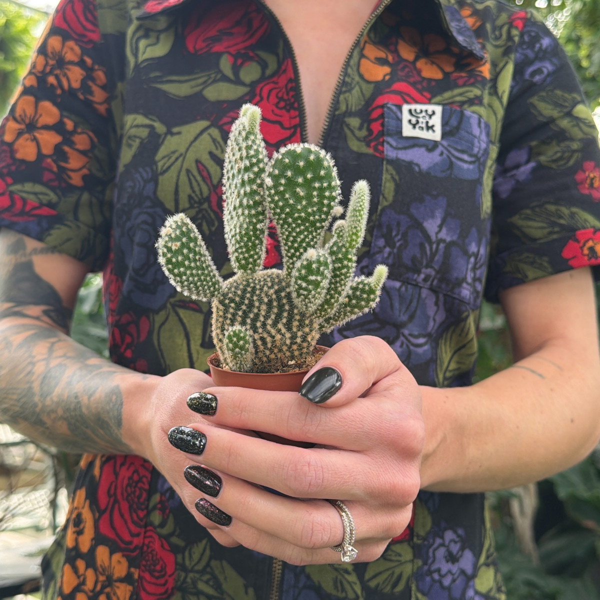 a person in a colourful floral jumpsuit holding a small potted bunny ears cactus