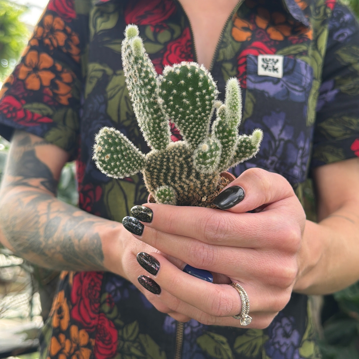a person in a brightly coloured floral jumpsuit holding a small potted bunny ears cactus