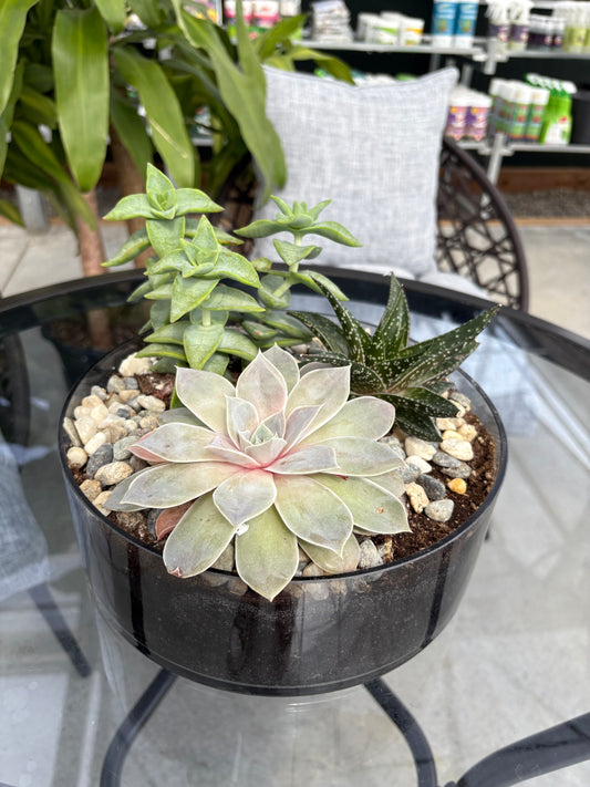 Decorative planter with succulents and pebbles on a glass surface