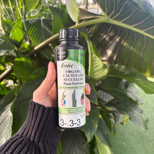 a person holding a black bottle with a label that says organic cactus and succulent plant fertilize with many tropical plants in the background