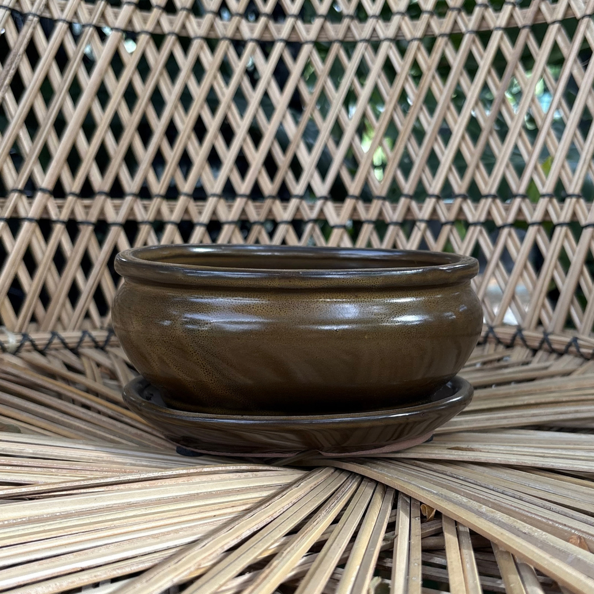 a small oval shaped brown glossy Chinese glazed ceramic bonsai pot with a drip tray resting on a wicker surface