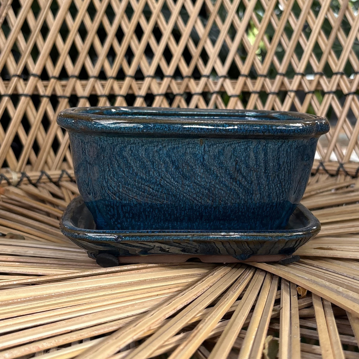 a small rectangle shaped with rounded edges teal coloured Chinese glazed ceramic bonsai pot with a drip tray sitting on a wicker chair