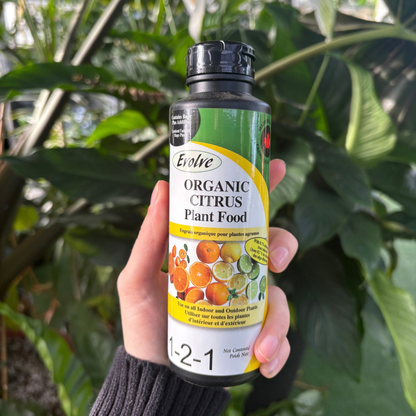 a person holding a black bottle labelled organic citrus plant food with many tropical plants in the background