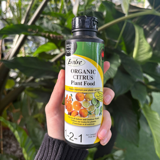a person holding a black bottle labelled organic citrus plant food with many tropical plants in the background