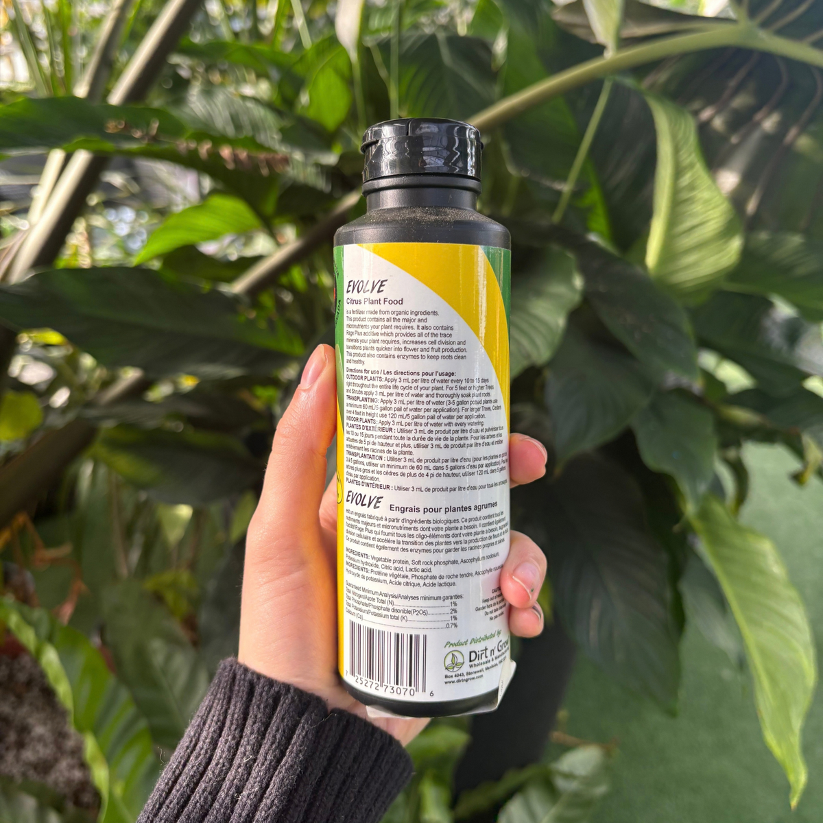 a person holding a black bottle displaying the back of the product which indicates ingredients and use instructions with many tropical plants in the background