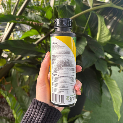 a person holding a black bottle displaying the back of the product which indicates ingredients and use instructions with many tropical plants in the background