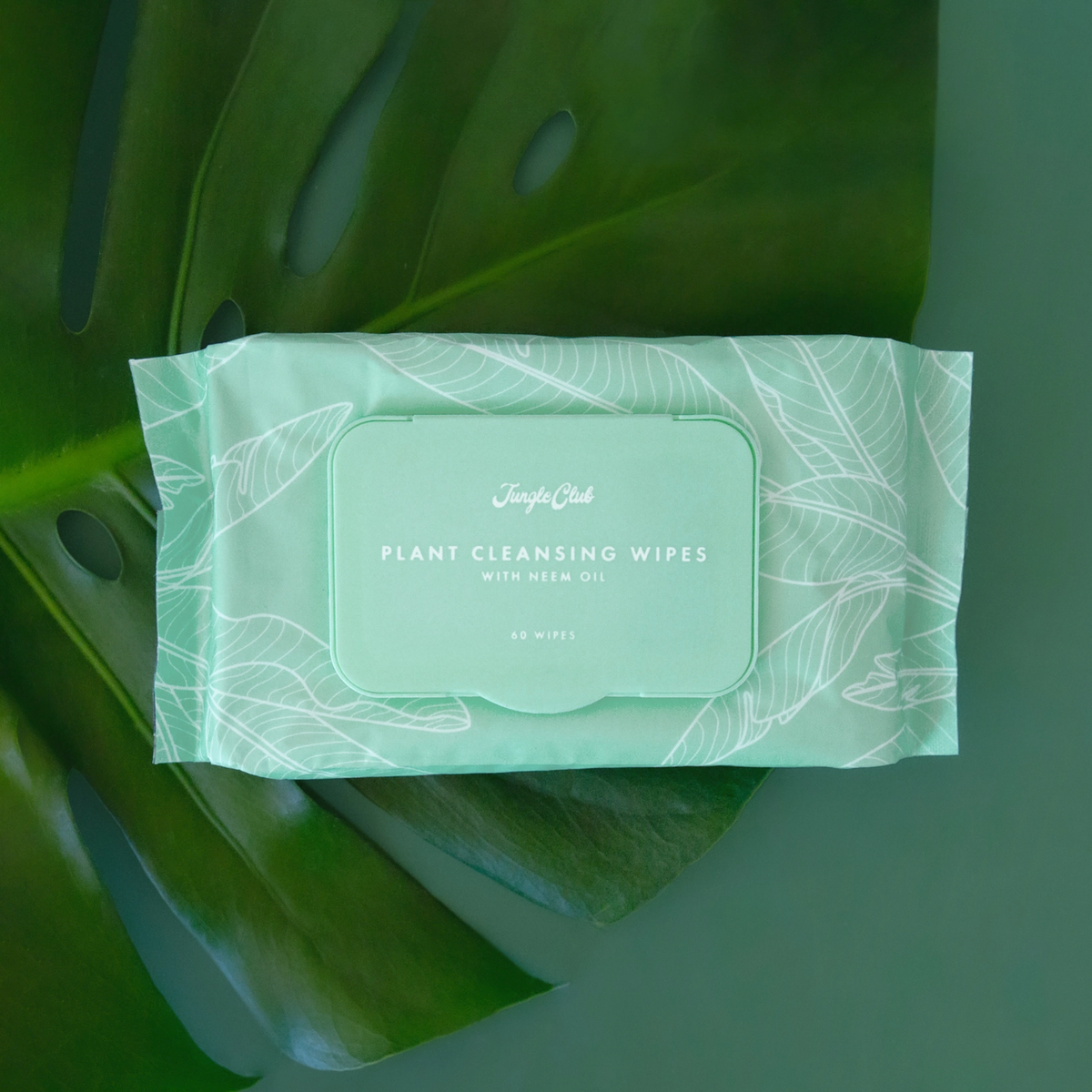 a teal package of plant cleansing wipes resting on a monstera leaf with a teal background