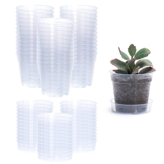 Stacks of clear plastic nursery pots with an interlocking saucer, shown alongside a potted plant to illustrate use.