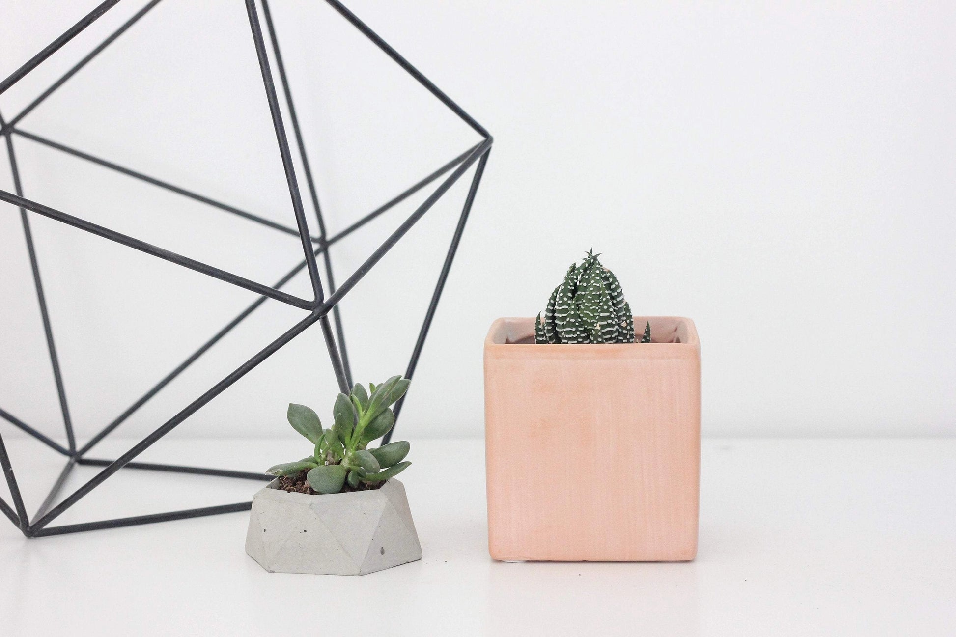 cube plant pots Cube Planter 3" – Modern Small Indoor Plant Pot – Urbane Eight Inc