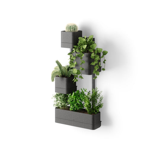 A black Cubiko Wall Planter with various plants arranged in a vertical, modular fashion on a white background.