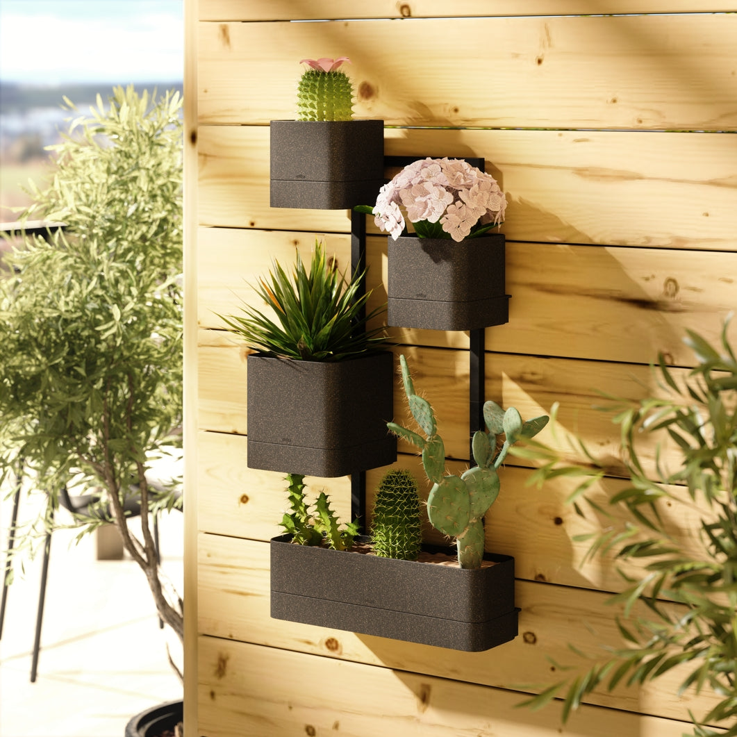 four cubed shaped platers of varying sized attatched by black polls hung on wooden wall filled with varying plants
