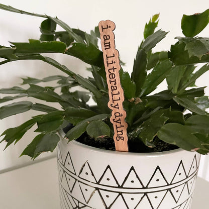 Punny Plant Stakes/ Funny Plant Markers
