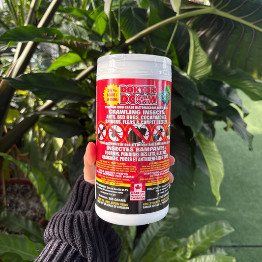 a person holding a clear container with a red label that says doktor doom premium for grade diatomaceous earth with images of insects with red lines through them on the front of the package with many tropical plants in the background