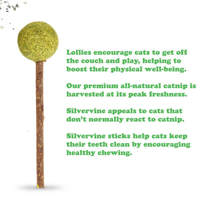 Sucettes – Bâtonnets de vigne argentée à l'herbe à chat – Friandises à mâcher naturelles pour chats