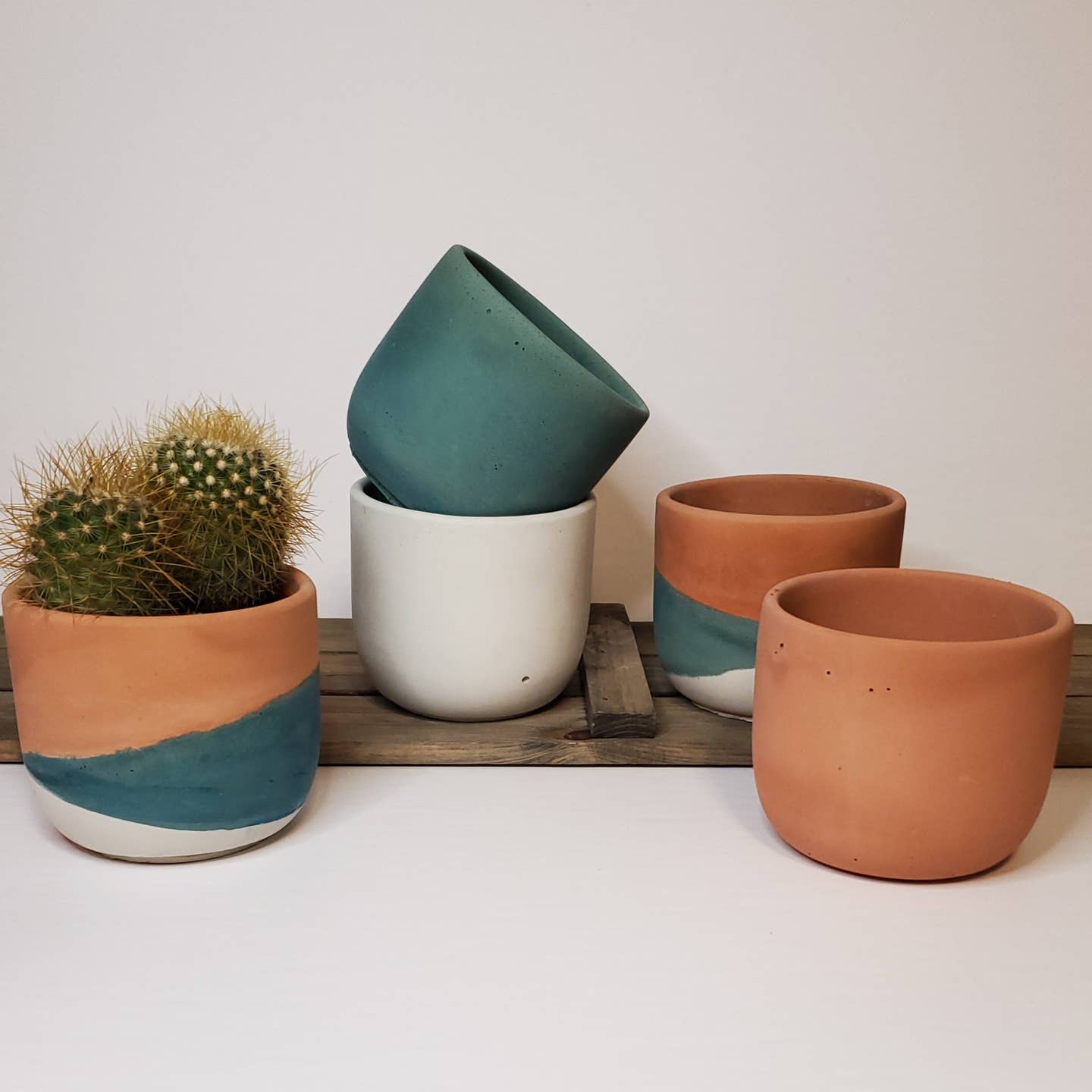 A set of concrete pots in various shades of green and brown, with one pot containing a cactus.