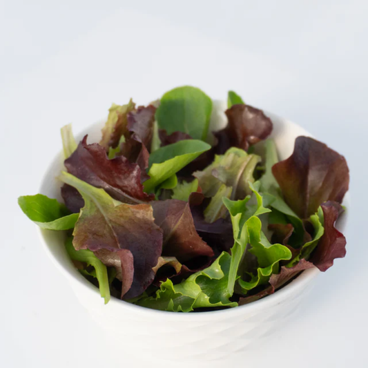a white ceramic bowl of green and red lettuce leaves