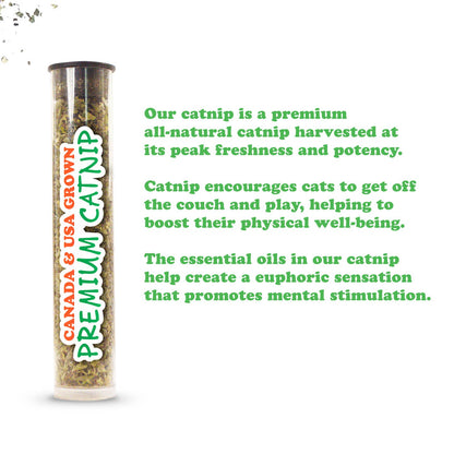 Jump 'n' Jamb – Jouet à bascule rechargeable à l'herbe à chat caméléon