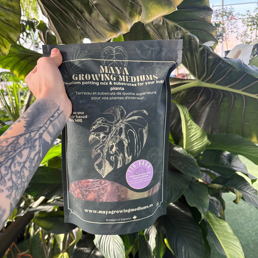 a person holding a dark green bag that reads Maya growing medium premium potting mix with a small amount of the package being see through displaying the fir bark insides of the package with many tropical plants in the background