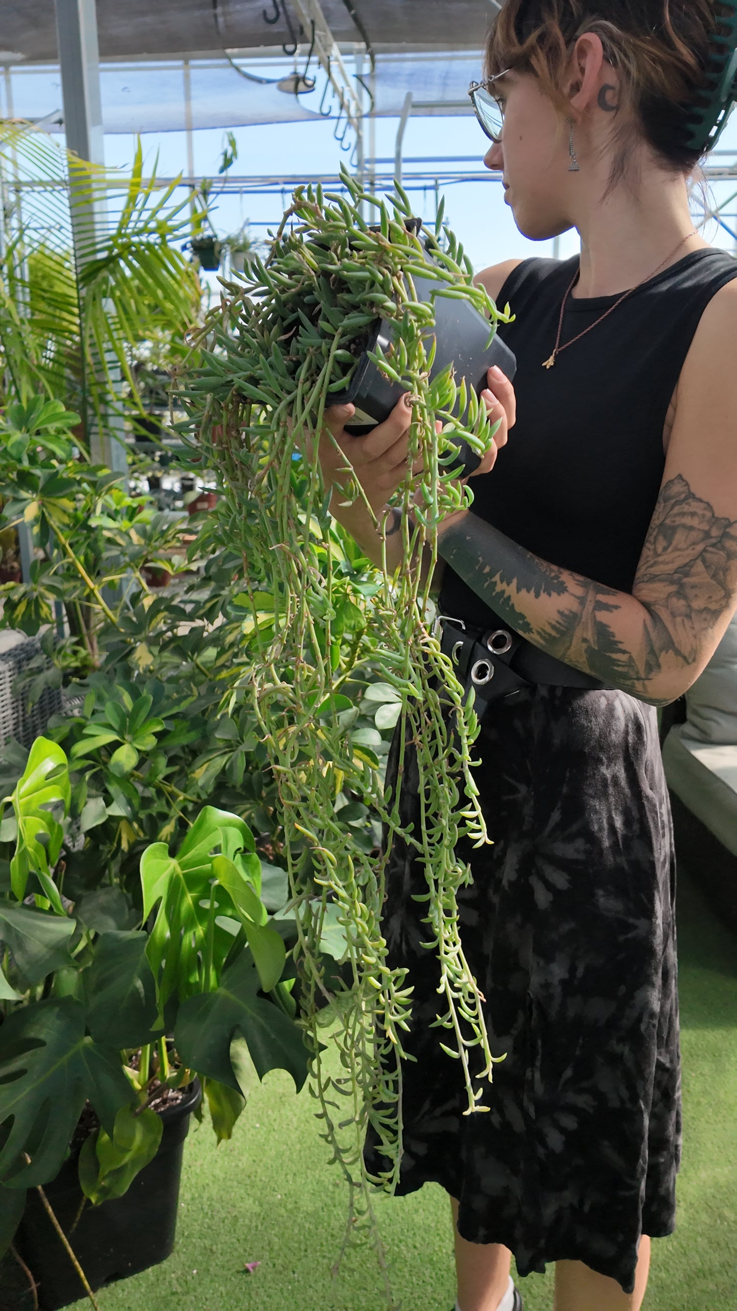 Person holding a large green fish hook plant in a greenhouse