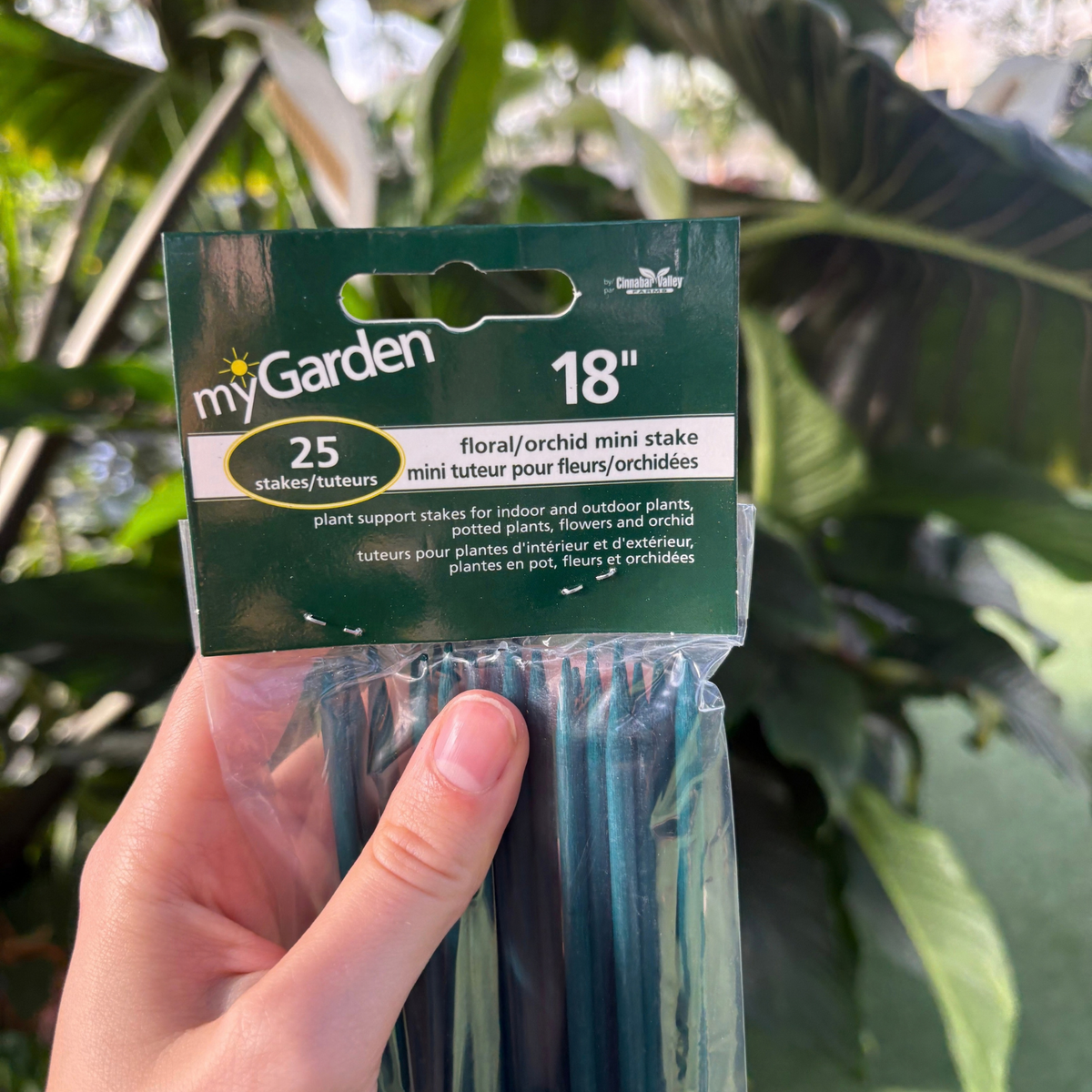 a person holding a plastic package of dark green floral and orchid mini stakes showing the label at the top of the package that reads 18" floral/orchid mini stakes, 25 stakes. with many tropical plants in the background