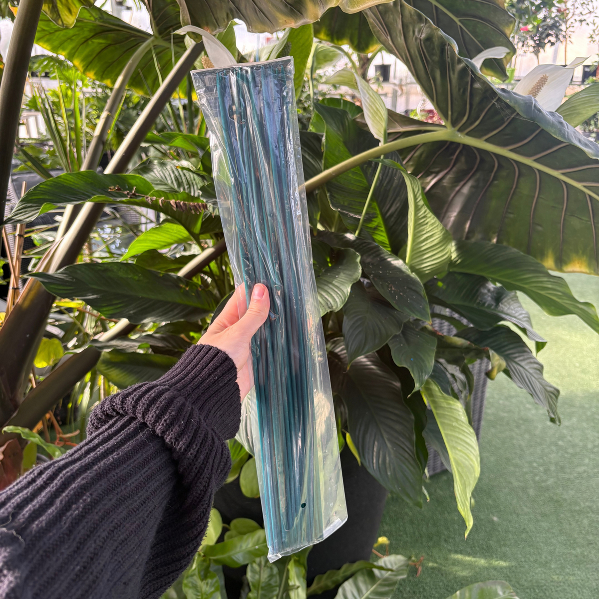 a person holding a plastic package of dark green floral and orchid mini stakes with many tropical plants in the background