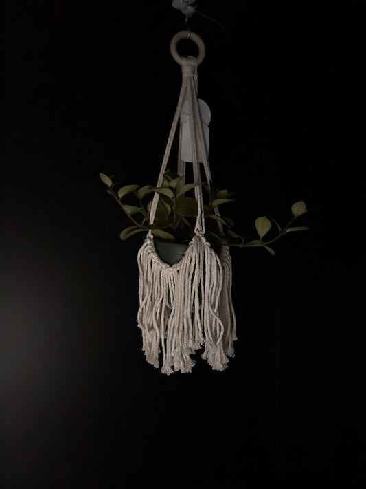 White tassels macrame hanging planter with a green plant inside with a black background