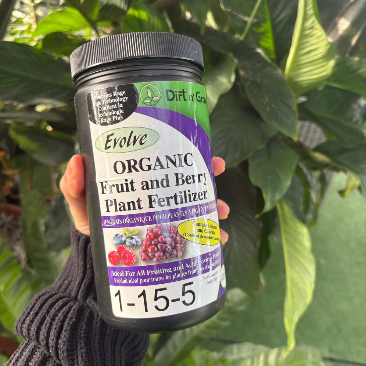 a person holding a black container labelled organic fruit and berry plant fertilizer with many tropical plants in the background