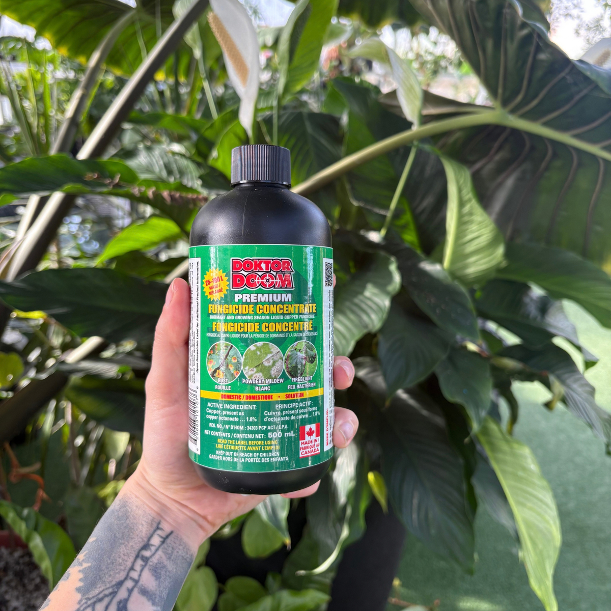 a person holding a black bottle with a green label that reads doktor doom premium fungicide concentrate with images of plant  leaves with mildew on the front of the package with many tropical plants in the background