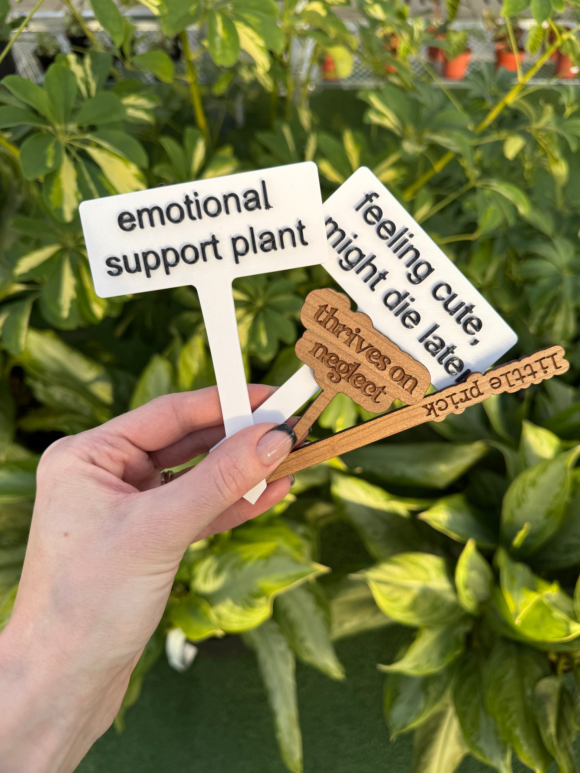 plant might Funny Plant Stakes – Humorous Plant Markers for Pots & Gardens – Urbane  Eight Inc