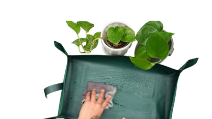 Green gardening mat with plants and a hand holding a cloth.