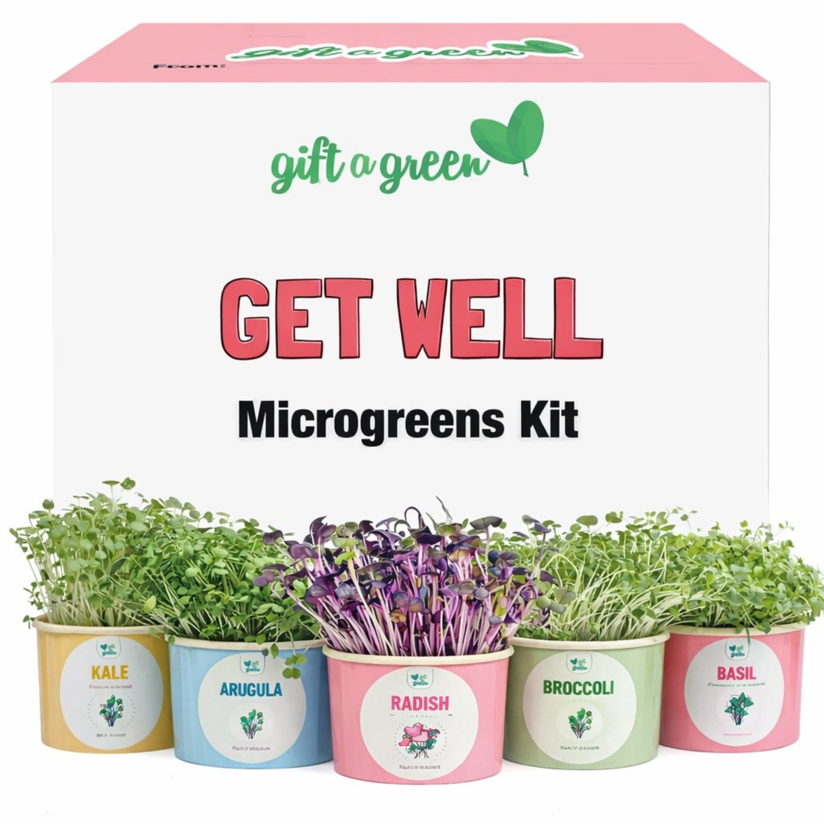 an image of the get well microgreen gift box set with a row of colourful pots sitting infront of it with microgreens growing out of them on a white background 