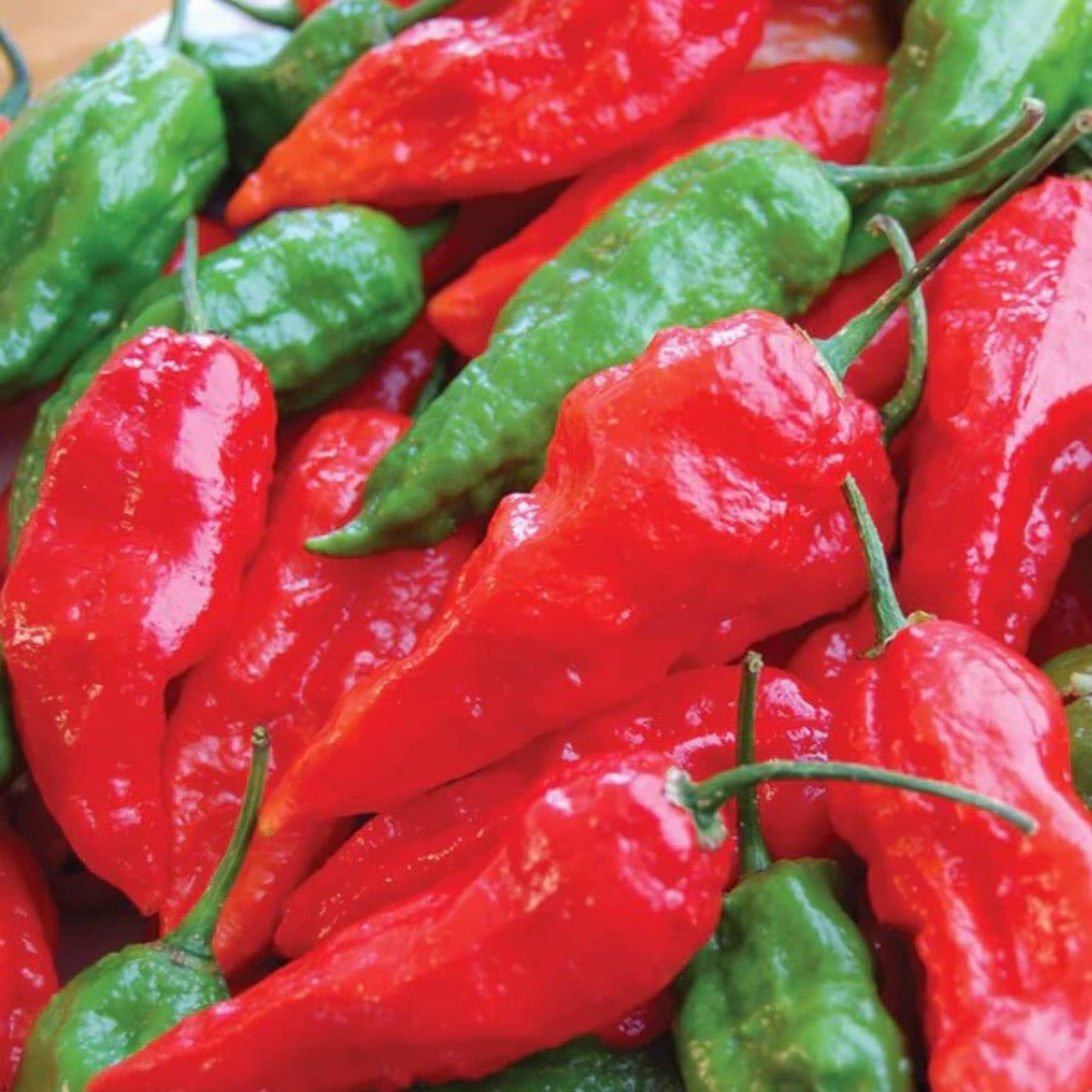 a zoomed in pile of red and green ghost chilies peppers
