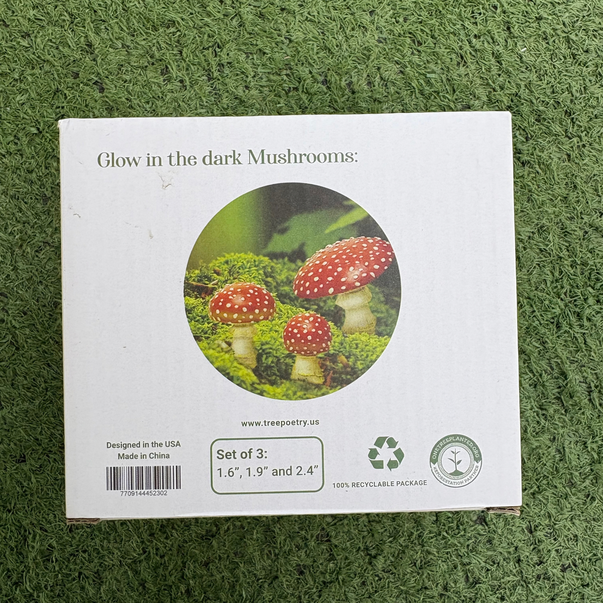 the back of a white cardboard package labeled glow in the dark mushrooms with a circular image of three red capped mushrooms amongst moss