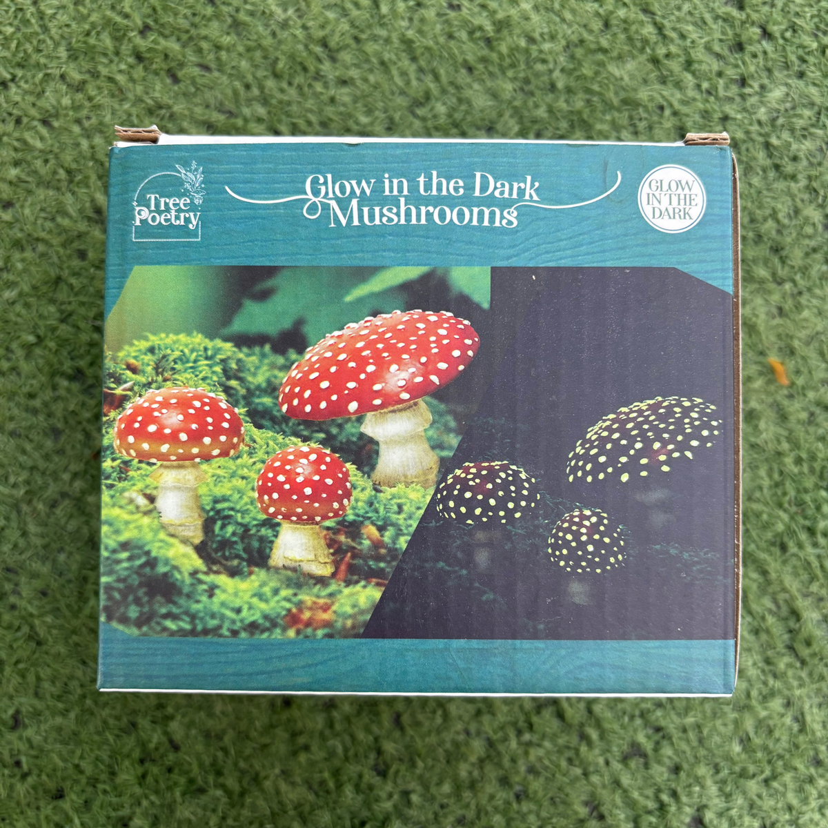 a cardboard package labeled glow in the dark mushrooms with an image of three red capped mushrooms amongst moss
