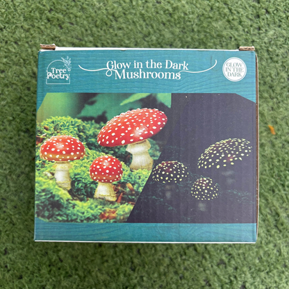 a cardboard package labeled glow in the dark mushrooms with an image of three red capped mushrooms amongst moss