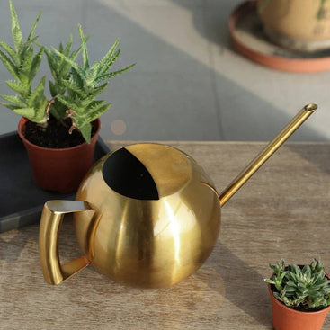 /products/minimalist-plant-watering-can
